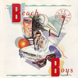 The Beach Boys : Made in U.S.A.